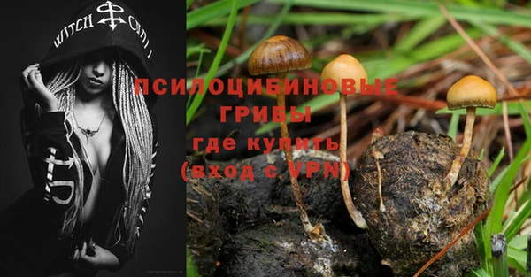 соль ск Абаза