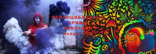 соль ск Абаза