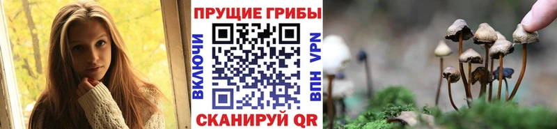 Галлюциногенные грибы Magic Shrooms  даркнет формула  Азнакаево  наркотики 