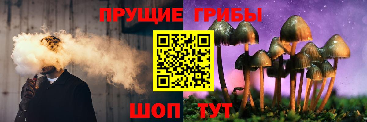 Псилоцибиновые грибы прущие грибы  Вход с VPN  Азнакаево 